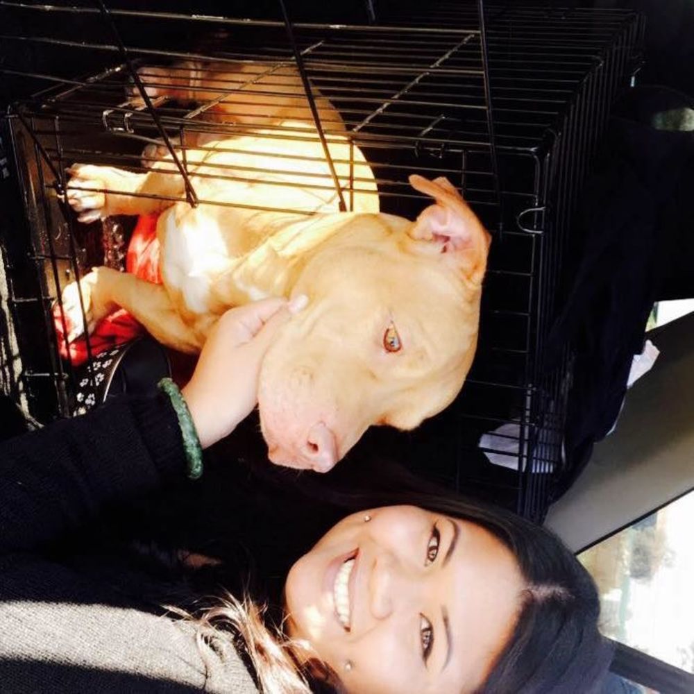 Meet your Posher, Ruby lee